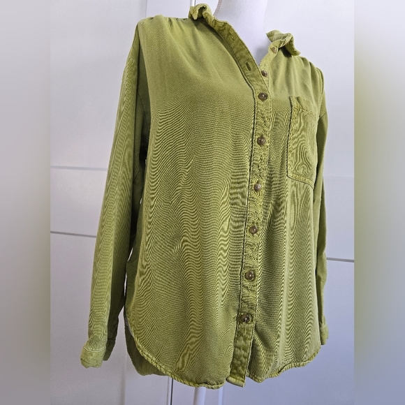 Pilcro Anthropology Green Button Down Shirt - Picture 2 of 12
